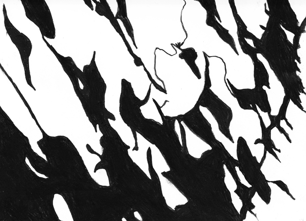 Artist: Katie Holten - Shadow Drawings 5:30pm