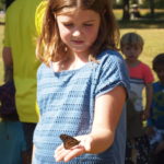Children & Families: Monarch Butterflies