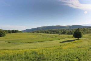 Storm King's South Fields in the spring are bright green and budding with native wildflowers. 
