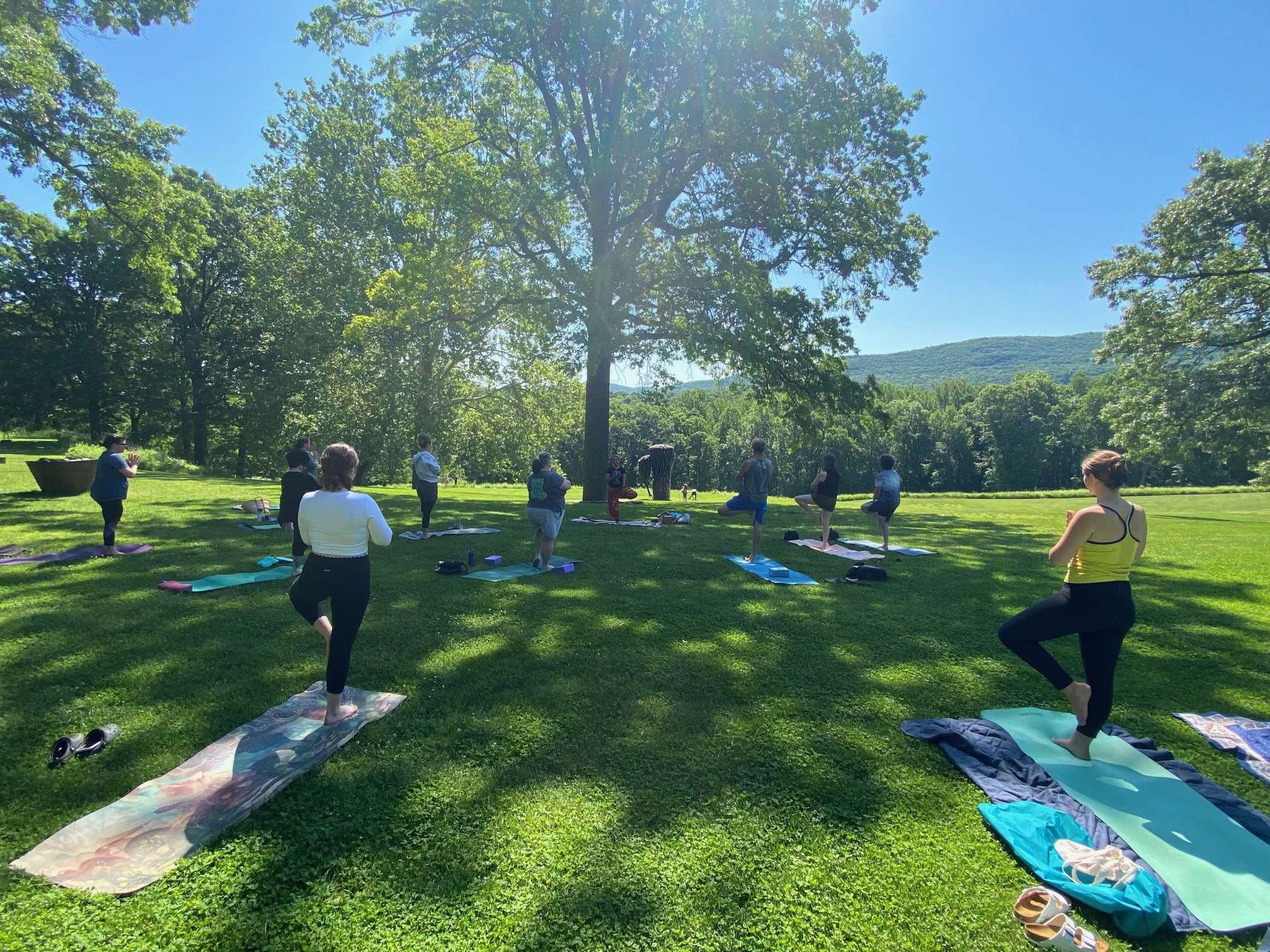 People spread out on a grassy hillside standing on blankets and yoga mats with a blue sky and mountains in the distance.