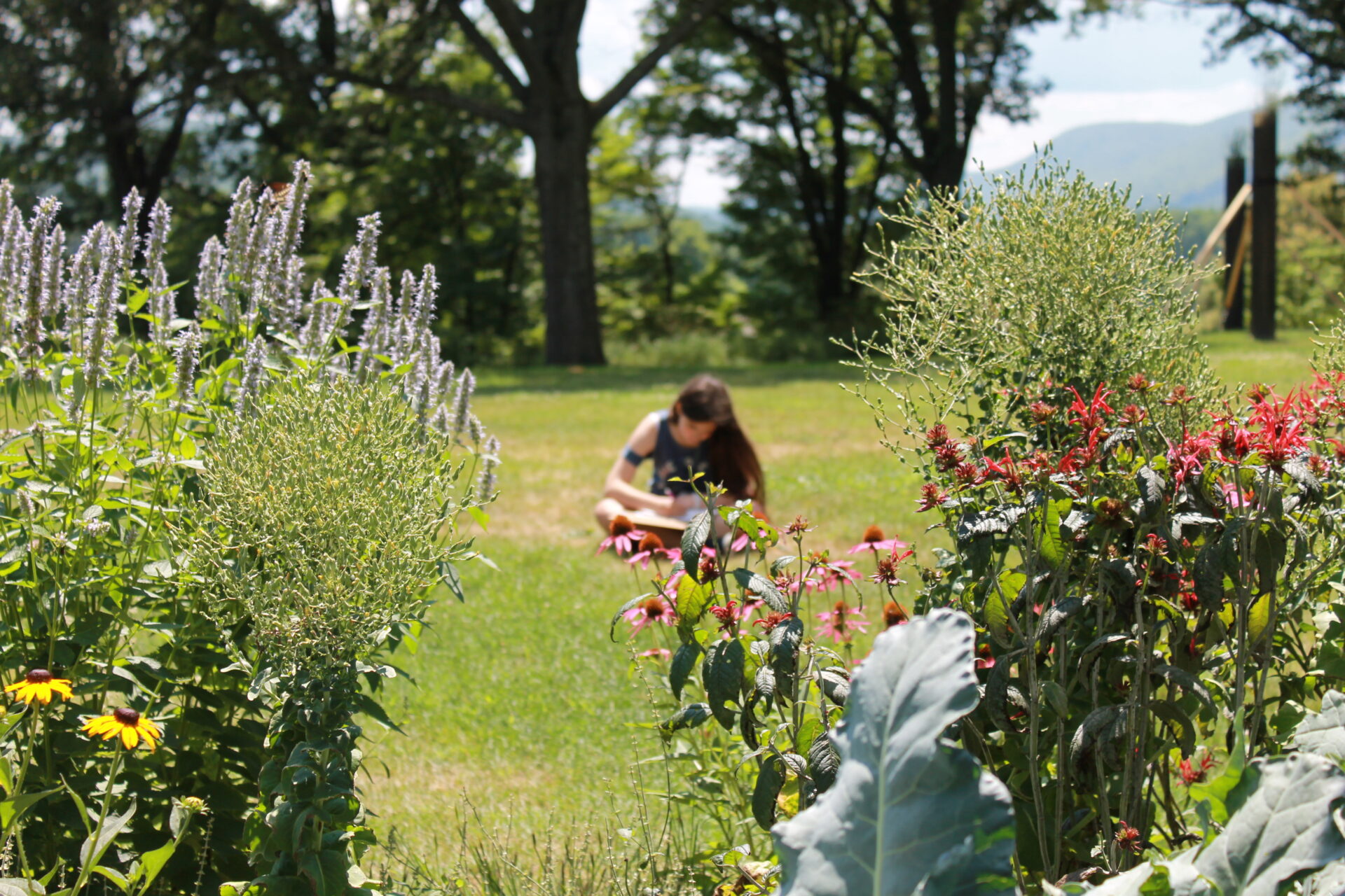 Library in the Landscape Storm King Art Center