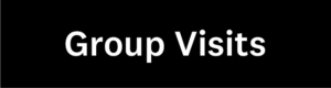 Group Visits Button