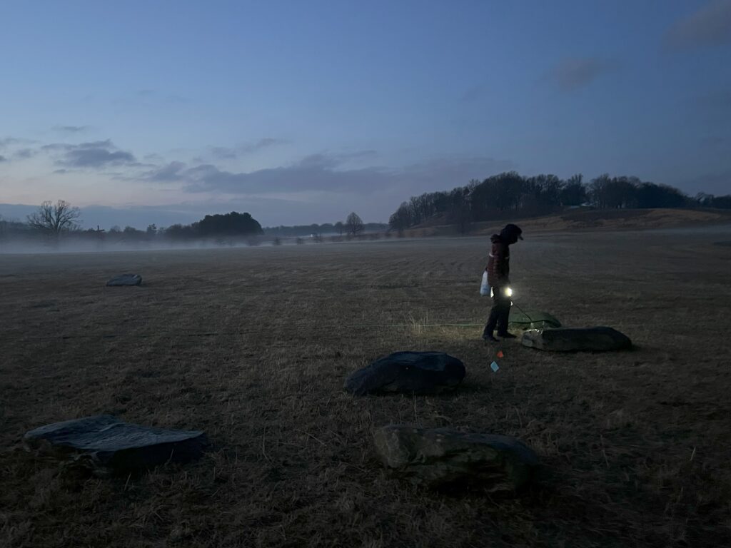 Artist Dionne Lee treating boulders on a field at dusk, mist rising in the background.