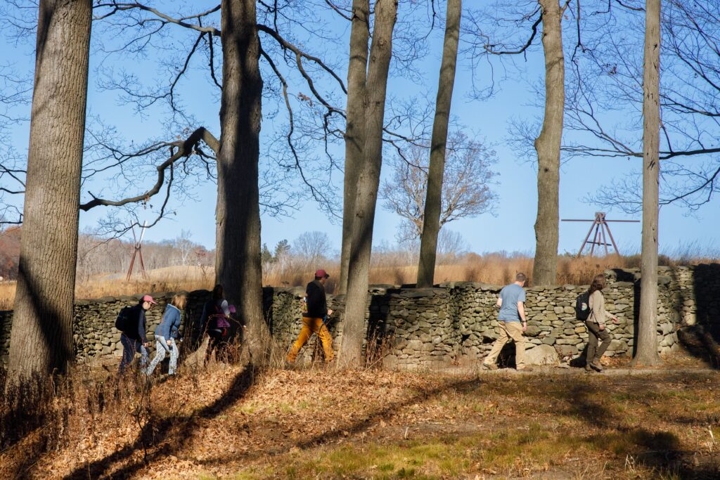 People walk along a stone walll woven through trees.