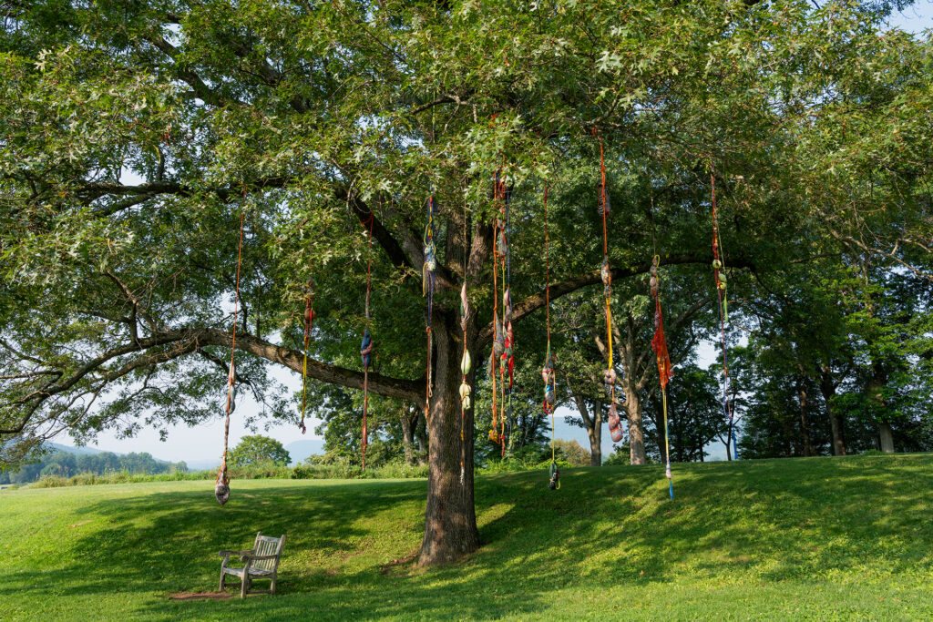 Hanging in a lush tree are a dozen woven strands of colorful fabric and cord