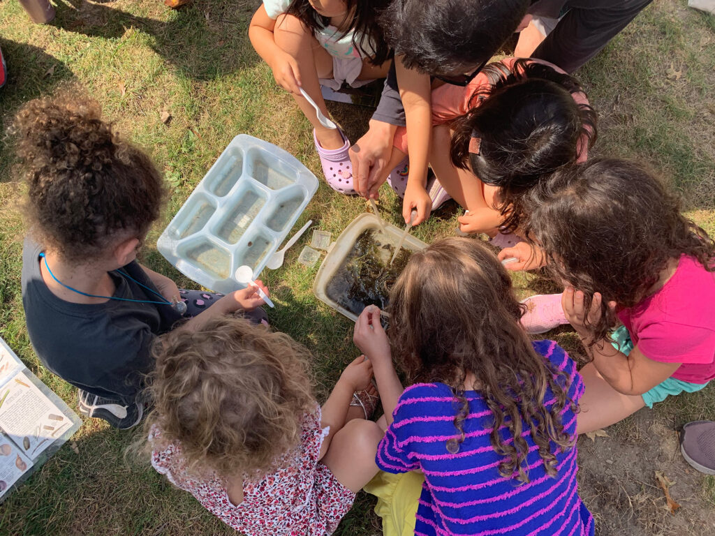 Children sitting on the ground in a circle observing pond water in a tray.