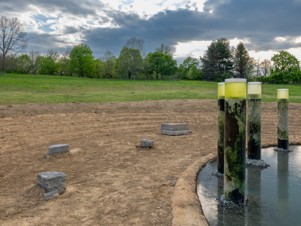 The edge of a circular pond is ringed with clear tubes emerging from the water. The tubes are filled with a greenish-brown terrarium. Outside the pond, an amphitheater is dotted with fragments of carved stone, like an archaeological dig site.