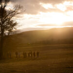 Member Event—Collection Selections: Earth Day // Earthworks