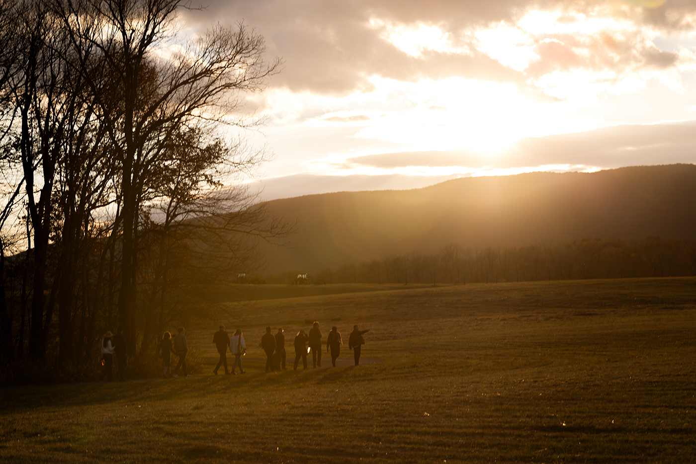 Member Event—Collection Selections: Earth Day // Earthworks