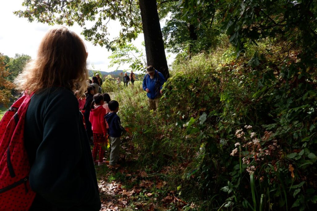 A group of adults and children standing in the forest looking at the trees.