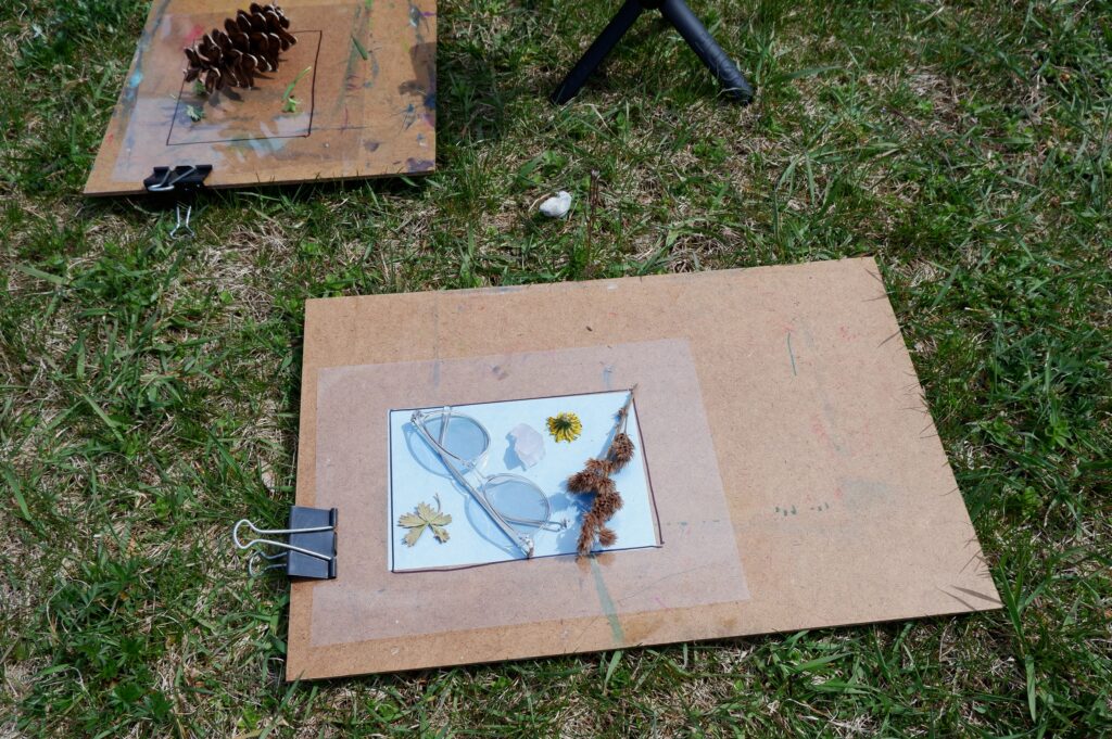 A sheet of cyanotype paper laying on top of a sheet of cardboard exposing in the sun on the ground in the grass.