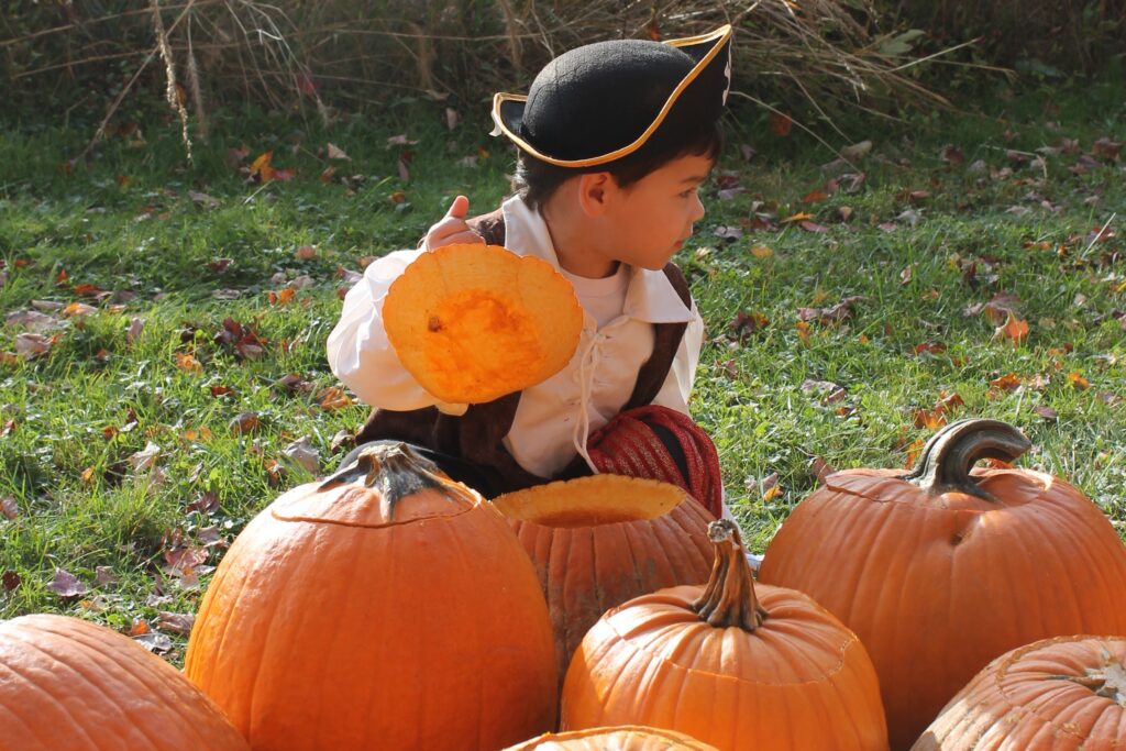 Young child dressed up as a pirate for Halloween sits on the grass next to big bright orange pumpkins.