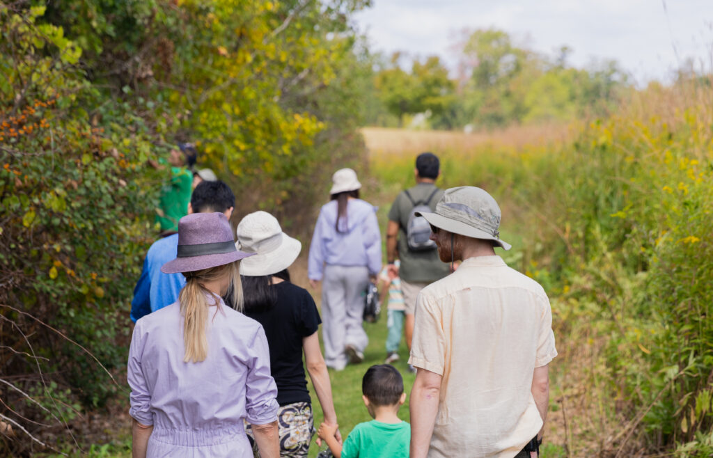 A group of people walking on a trail between a forest edge and a meadow.